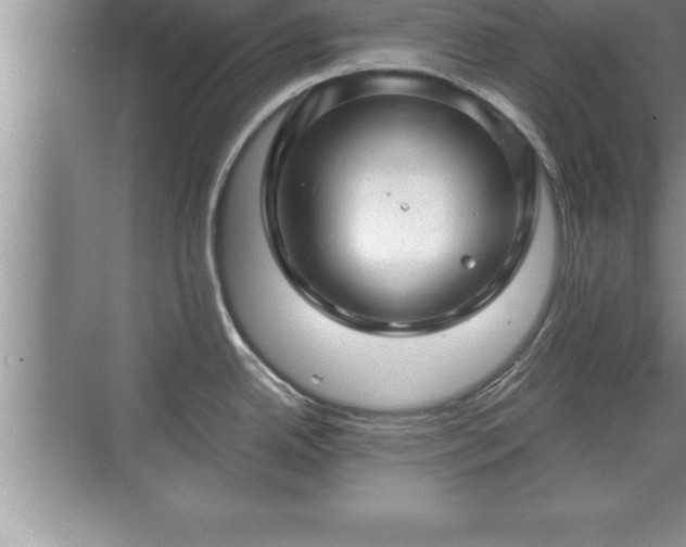 X0000071331342200606301551