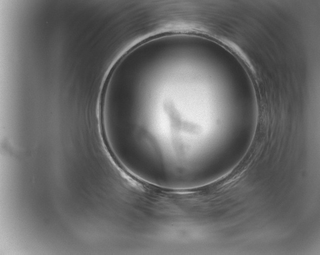 X0000071331343200606301551