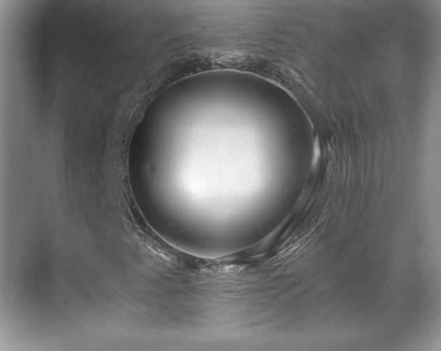 X0000071331345200606301550