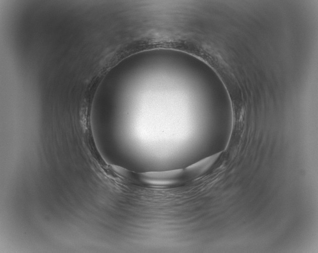 X0000071331348200606301550