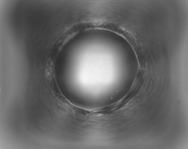 X0000071331349200606301550