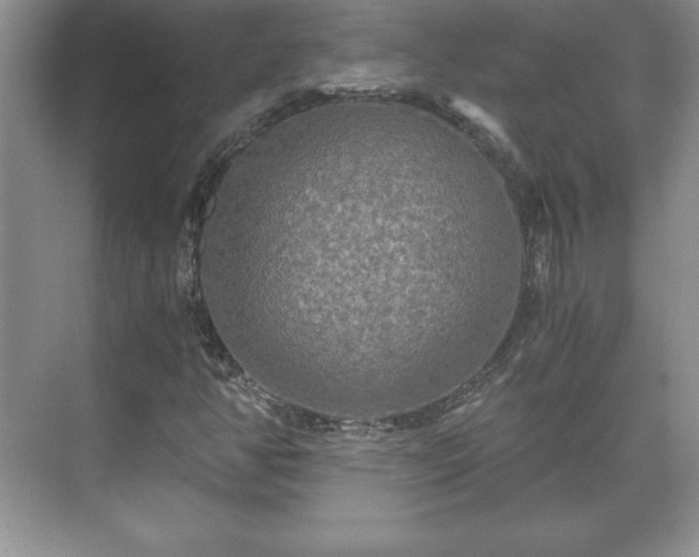 X0000071331350200606301550