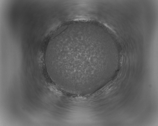 X0000071331351200606301550