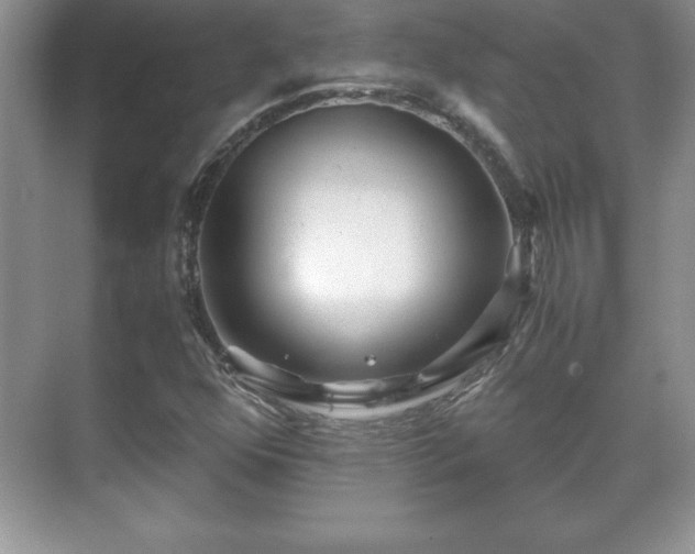 X0000071331352200606301550