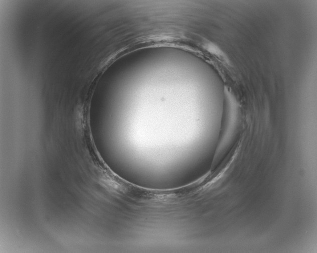 X0000071331353200606301550