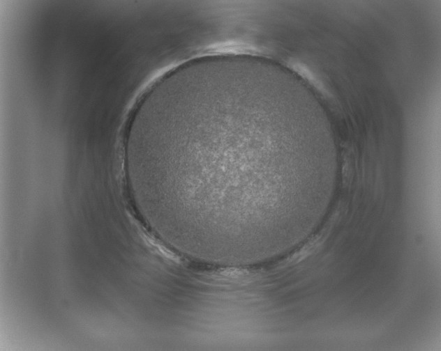 X0000071331358200606301550