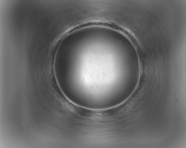 X0000071331359200606301550