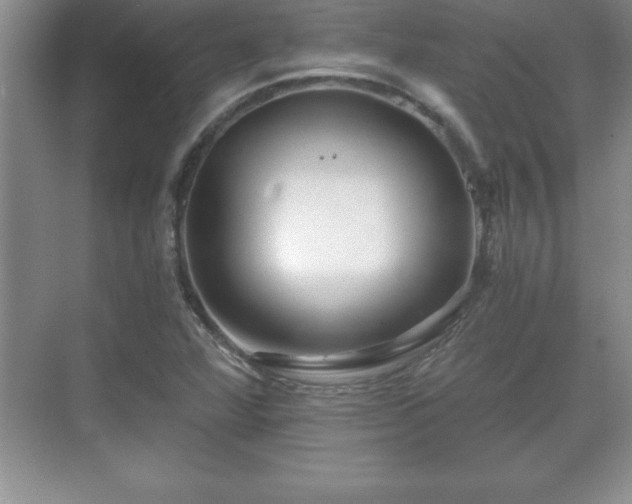 X0000071331360200606301550