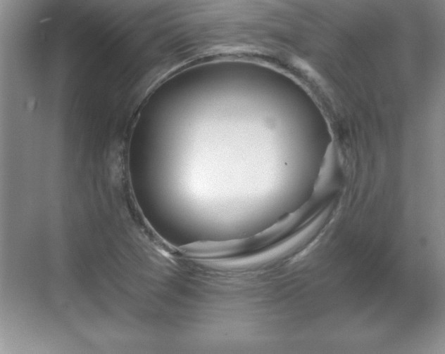 X0000071331361200606301550