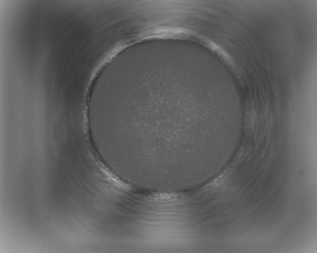 X0000071331362200606301550