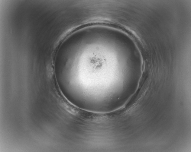 X0000071331363200606301550