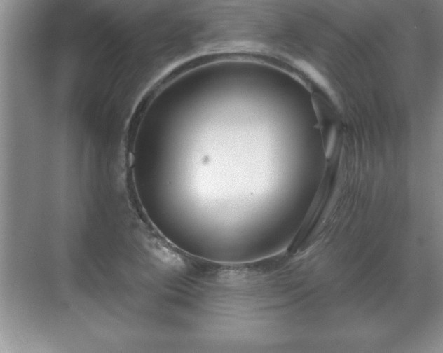 X0000071331364200606301550