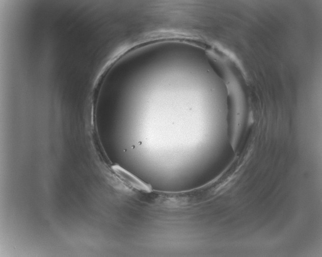 X0000071331365200606301550