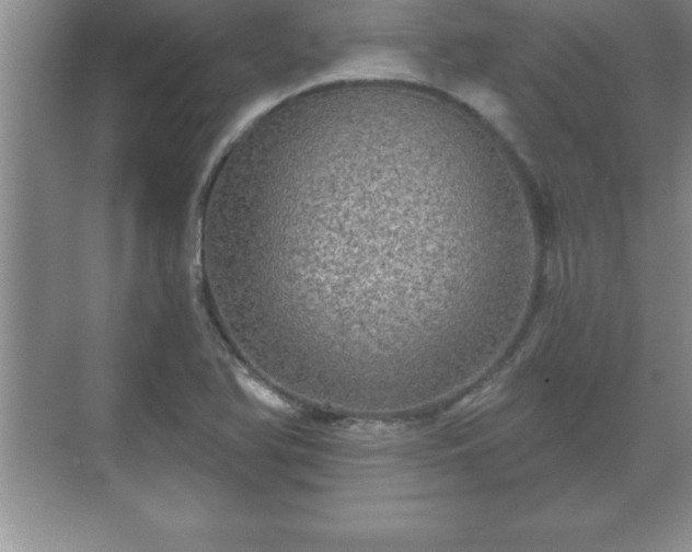 X0000071331366200606301550