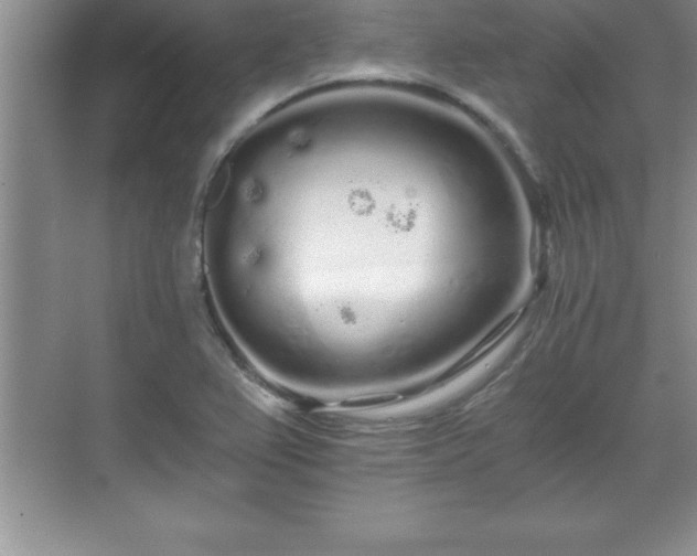 X0000071331367200606301550