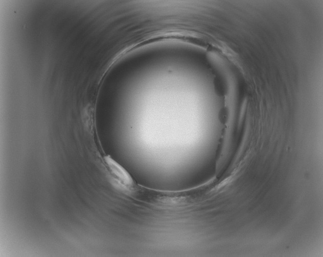 X0000071331369200606301550