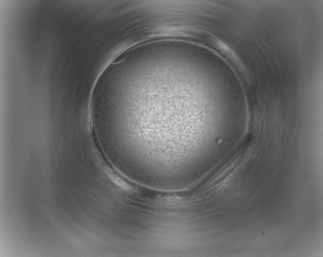 X0000071331370200606301549