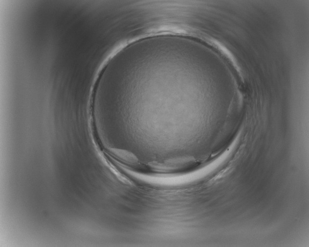 X0000071331373200606301549