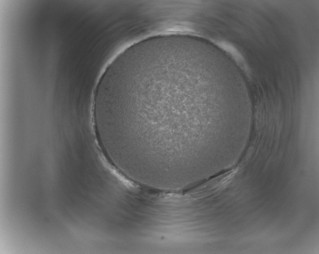 X0000071331374200606301549