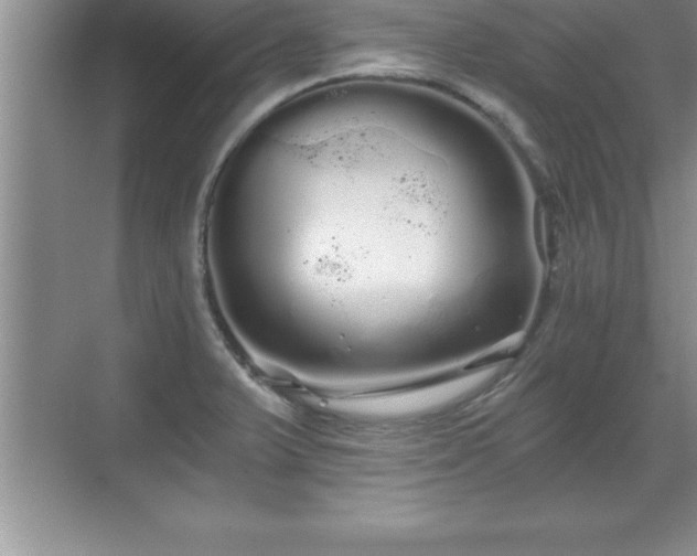 X0000071331375200606301549