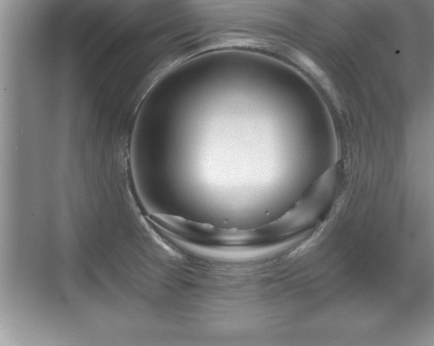 X0000071331377200606301549