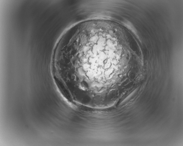 X0000071331379200606301549