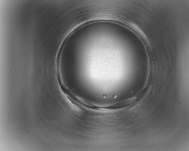 X0000071331380200606301549