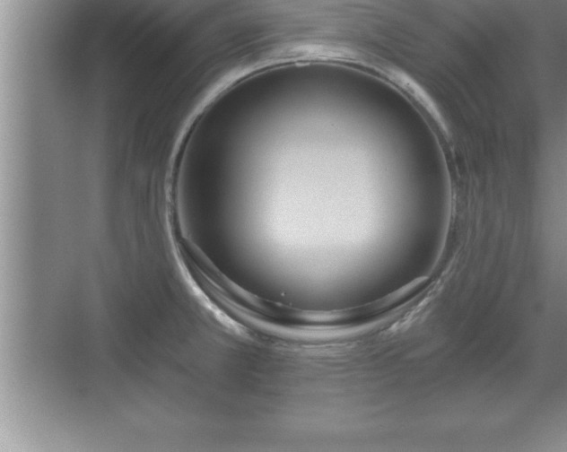 X0000071331381200606301549