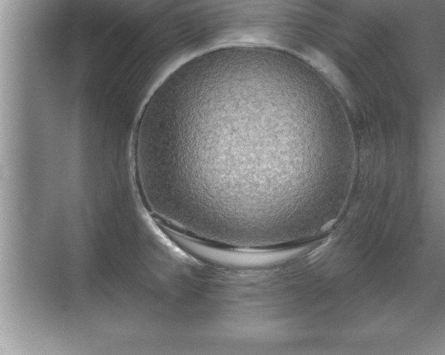 X0000071331382200606301549