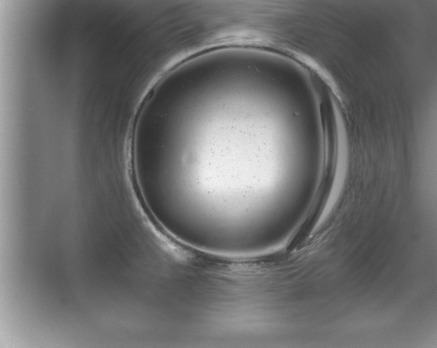 X0000071331383200606301549