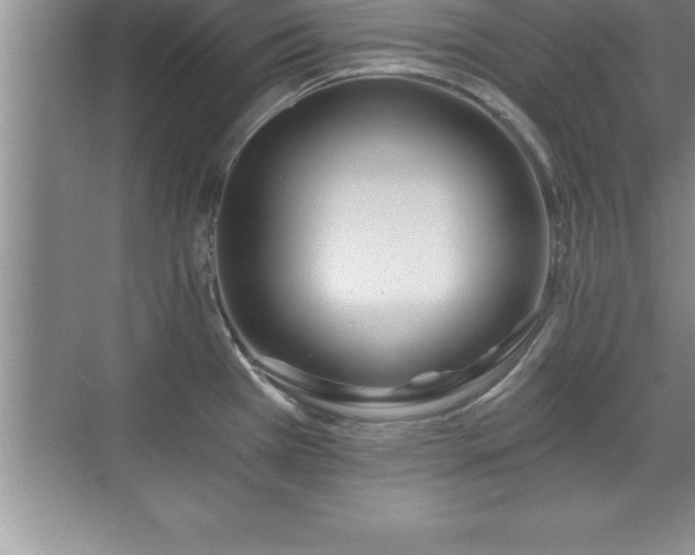 X0000071331385200606301549