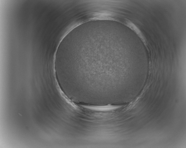 X0000071331386200606301549