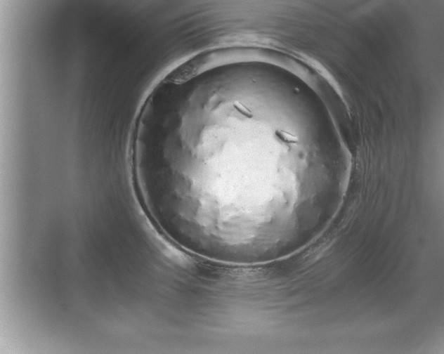 X0000071331387200606301549