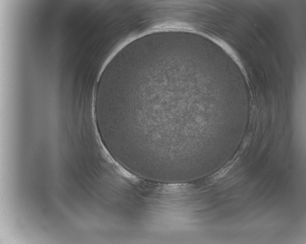 X0000071331390200606301549