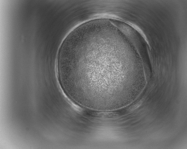 X0000071331391200606301549