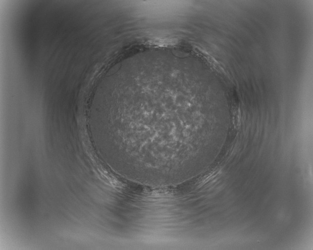 X0000071331393200606301548