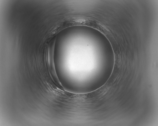 X0000071331394200606301548