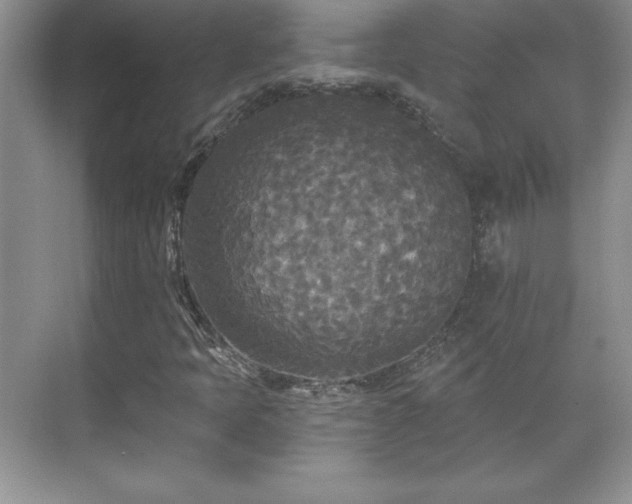 X0000071331397200606301548