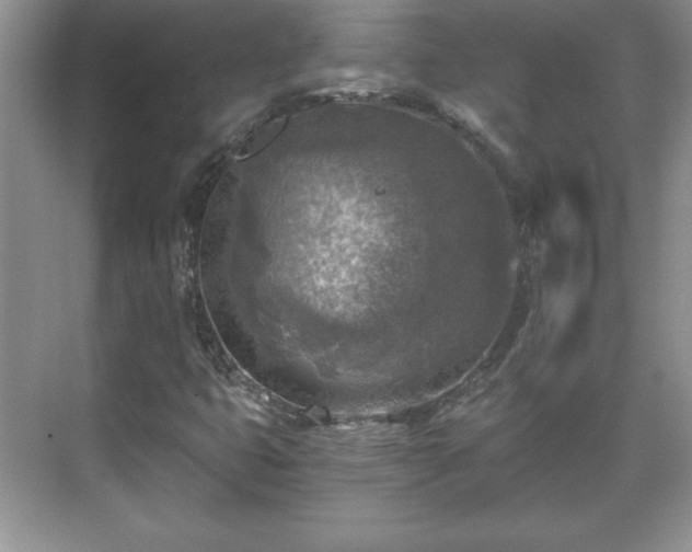 X0000071331399200606301548