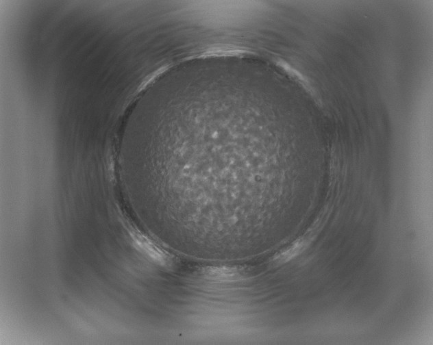 X0000071331401200606301548