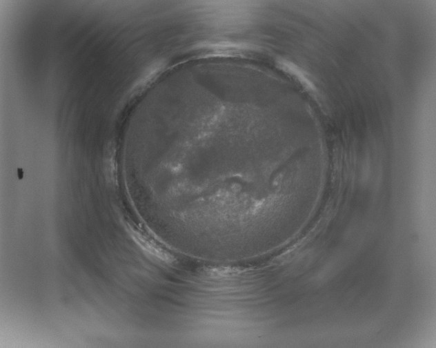 X0000071331403200606301548