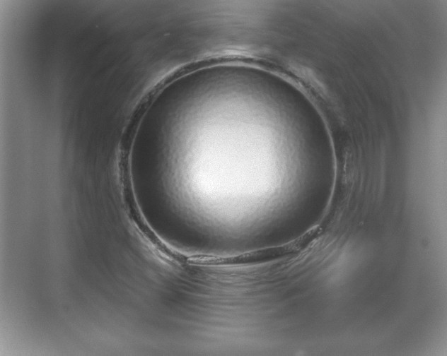 X0000071331404200606301549