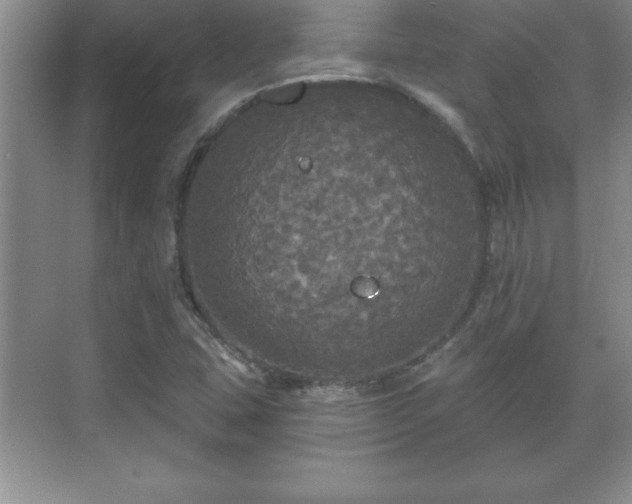 X0000071331407200606301549