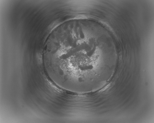 X0000071331409200606301549