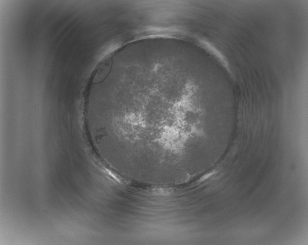 X0000071331411200606301549