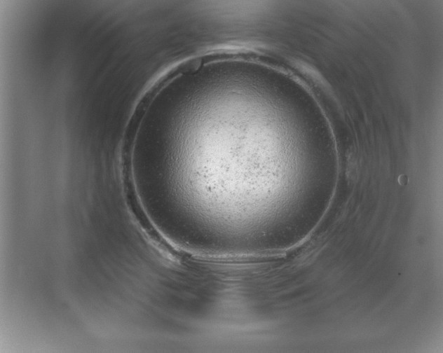 X0000071331412200606301549