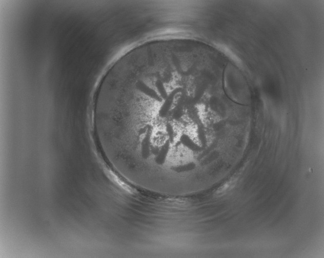 X0000071331413200606301549