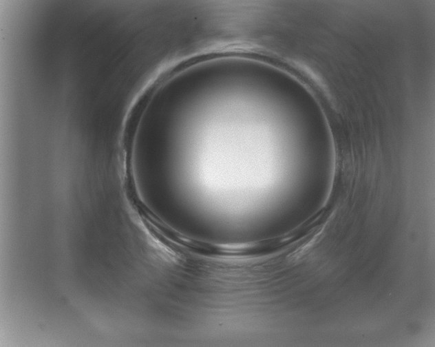 X0000071331414200606301549