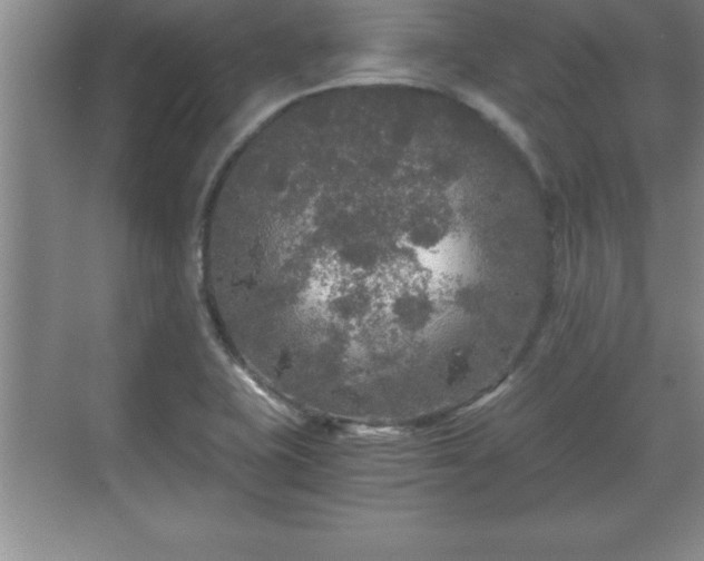 X0000071331415200606301549