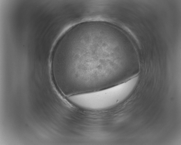 X0000071331416200606301549